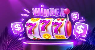 Dealer langsung Wild Bandito di studio jalur togel dengan kamera multi-angle